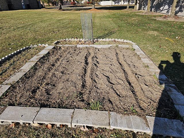 Garlic Fall 2024 58 cloves planted.