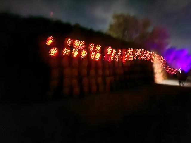 1000023164