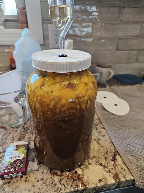 Mango Mead 2-19-2024