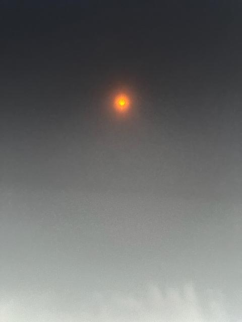 1000016799