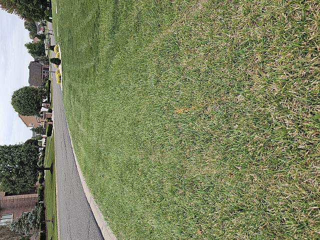 1000021422
