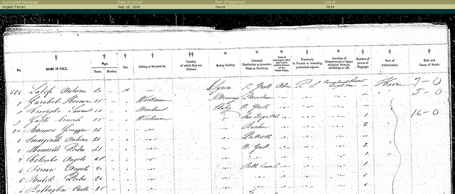 AngeloFerrariEllisIslandOriginalShipManifest_08161895.png
