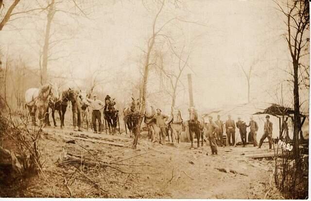The Crew at the Wright Saw Mill, Holliday's Cove 1913
