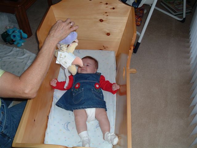 Cradle 1 October 2003