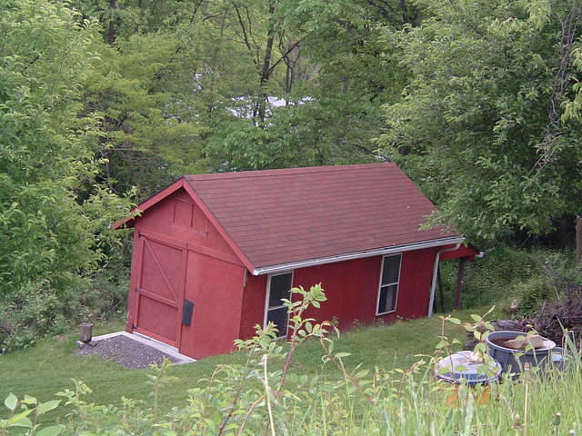 DSCF1478