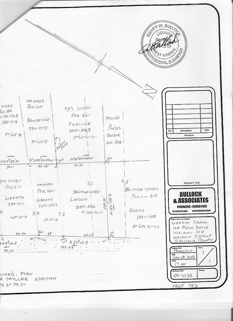 175PalmSurvey_07222009_A