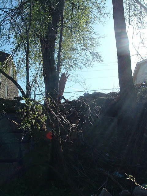 2009_0423Image0011.JPG