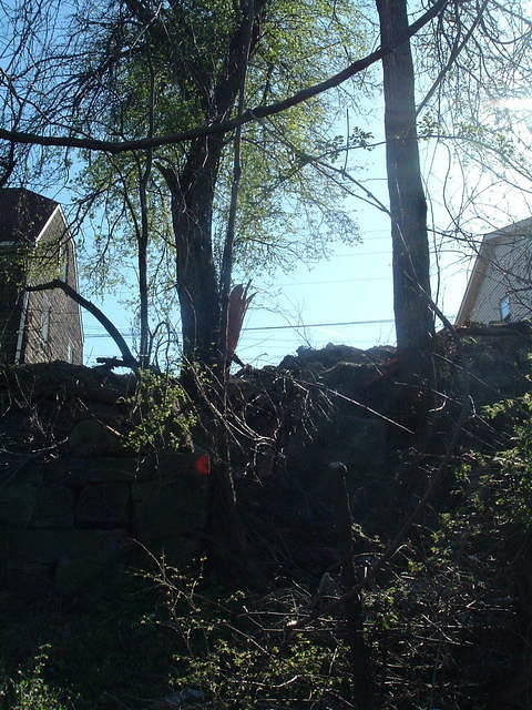 2009_0423Image0012.JPG