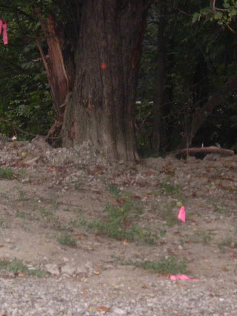 2009_0722Image0064.JPG