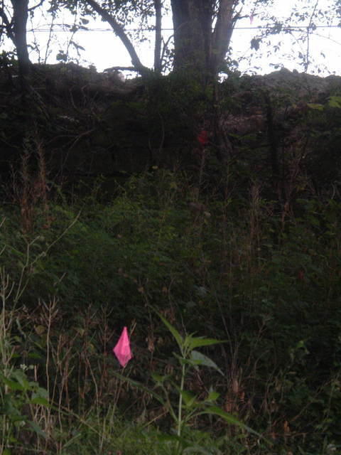 2009_0722Image0065.JPG