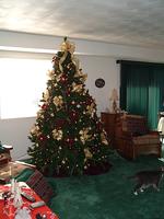2003_1231_131752.JPG