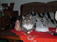 Christmas 2003