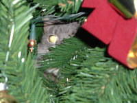 2004_0113_204218.JPG