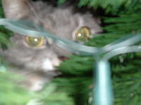 2004_0113_204246.JPG