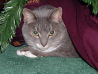 2004_0103_152032.JPG