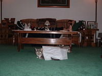 2004_0119_204916.JPG
