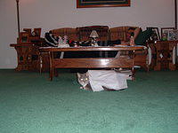 2004_0119_204932.JPG