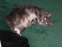 2004_0205_073814.JPG