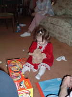 2004_1225_194352.JPG