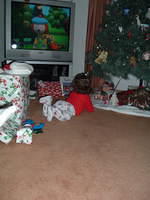 2004_1226_083902.JPG