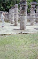 tn IMG017