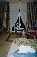 tn IMG026