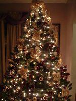 tn_2008_0111Image0001