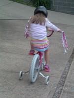 tn_2008_0711Image0009.JPG