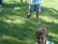 2008_0826Image0022.JPG