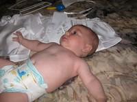 tn_img_0052.jpg