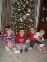 2008_1226Image0019b.JPG