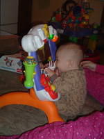 2008_1226Image0033.JPG