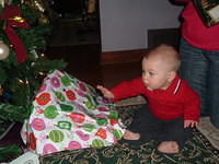 2008_1226Image0045.JPG