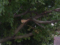 Fall 2008