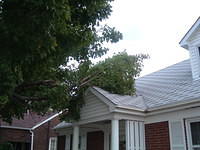 2008_1001Image0014.JPG