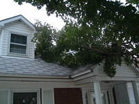 2008_1001Image0016.JPG