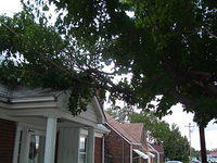 2008_1001Image0017.JPG