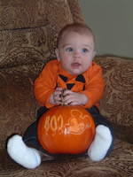 2008_1023Image0002