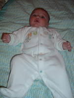 2008_0826Image0071.JPG