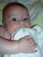 2008_0826Image0113.JPG