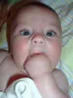 2008_0826Image0114.JPG