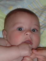2008_0826Image0118.JPG