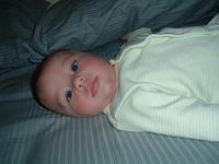 2008_0826Image0124