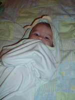 2008_1001Image0022.JPG