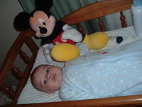 2008_1009Image0020.JPG