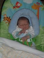 tn_2008_0520Image0007.JPG