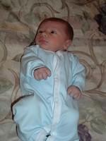 tn_2008_0520Image0020.JPG