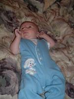tn_2008_0617Image0014.JPG