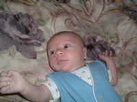 tn_2008_0617Image0015.JPG