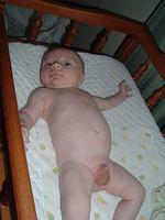 tn_2008_0617Image0016.JPG